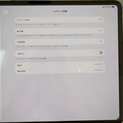iPad Pro M4 256GB セルラーモデル +おまけおまけの画像
