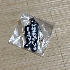 水曜どうでしょうアフリカ訪問記念タオルと一生どうでしょうしますの画像