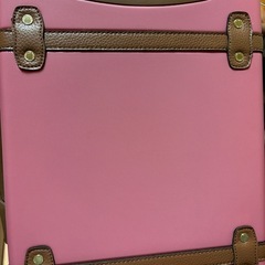 決まりました、ありがとうございました！女性用スーツケースの画像