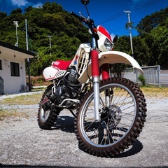 激レア！？逆輸入車　ヤマハ　TT250 の画像