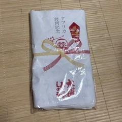 水曜どうでしょうアフリカ訪問記念タオルとシカでしたの画像