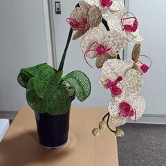 水引工芸の画像