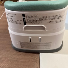 アンジェニュイティの画像