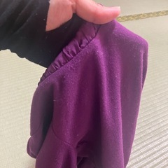 レディース　トップス　薄めのセッターの画像