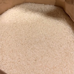 令和6年　島根県産　きぬむすめ　玄米30kg
の画像
