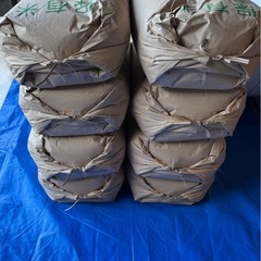 令和6年　島根県産　きぬむすめ　玄米30kg
の画像