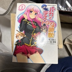 バカとテストと召喚じゅう獣の画像