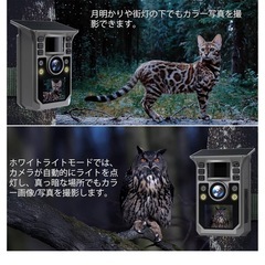 トレイルカメラ ソーラー式 夜間でもフルカラー写真とビデオ4K/6400万画素の画像