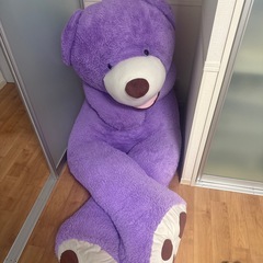 ダークネス井上(大きいくまのぬいぐるみ
)の画像