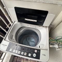 冷蔵庫・洗濯機の画像