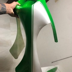 デュアルカウルの画像