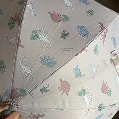 幼児傘40cm 恐竜柄の画像