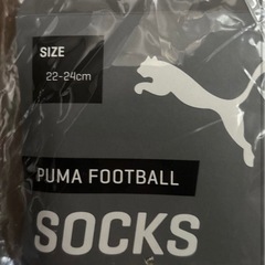 プーマ PUMA ジュニア サッカーソックス 22-24cm 729880-07の画像