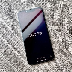 iPhone13プロ本体　256GBの画像