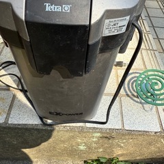 外部濾過　テトラ　水槽　アクアリウムの画像