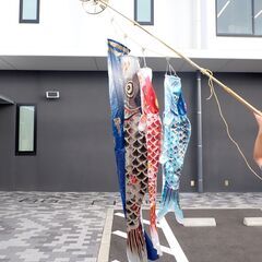 【10/26抽選会限定品】こいのぼりの画像