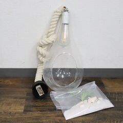 ≪ZC417ジ-①≫ スワン電器 ボタニック ハンギングライト APE-020 吊り下げ照明/天吊ランプ リビング/寝室 インテリア 現状品 の画像