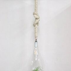 ≪ZC417ジ-①≫ スワン電器 ボタニック ハンギングライト APE-020 吊り下げ照明/天吊ランプ リビング/寝室 インテリア 現状品 の画像