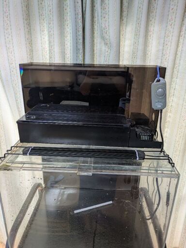 中古アクリル水槽（60㎝)