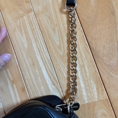 マイケルコースバックの画像