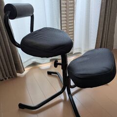 デスクチェア 姿勢矯正の画像