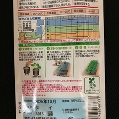 ロロン　かぼちゃ　8粒入り
の画像