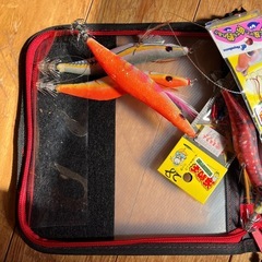 疑似餌の画像