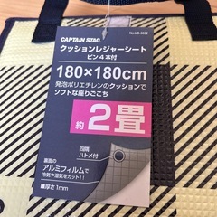 定価2000円 レジャーシートの画像