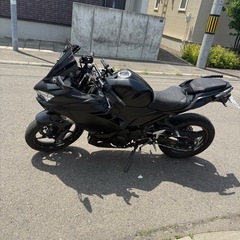 ニンジャ250 現行　の画像