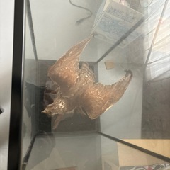 置き物の画像
