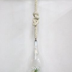 ≪ZC418ジ-②≫ スワン電器 ボタニック ハンギングライト APE-020 吊り下げ照明/天吊ランプ リビング/寝室 インテリア 現状品 の画像