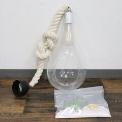 ≪ZC418ジ-②≫ スワン電器 ボタニック ハンギングライト APE-020 吊り下げ照明/天吊ランプ リビング/寝室 インテリア 現状品 の画像