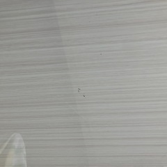 NITORI  食器棚、カウンター、たんす、リビングボード、テレビ台
の画像