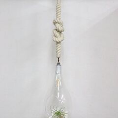 ≪ZC419ジ-③≫ スワン電器 ボタニック ハンギングライト APE-020 吊り下げ照明/天吊ランプ リビング/寝室 インテリア 現状品の画像