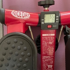 【健康ステッパー】ナイスデイ 筋トレの画像