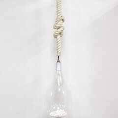 ZC420ジ-④ スワン電器 ボタニック ハンギングライト APE-020 吊り下げ照明/天吊ランプ リビング/寝室 インテリア 現状品の画像