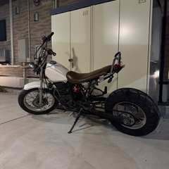 tw200 実働 の画像
