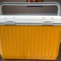 たっぷり入って使いやすい17Lサイズのクーラーボックスの画像