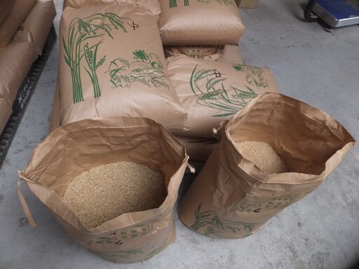 令和7年産新米　ひとめぼれ中米　玄米30Ｋｇ