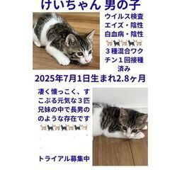 譲渡会参加　3兄妹