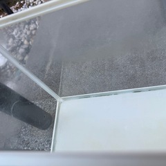 GEX水槽
の画像
