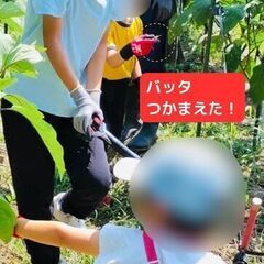 近鉄奈良駅から車で15分🌲奈良市のさとやま日帰り体験