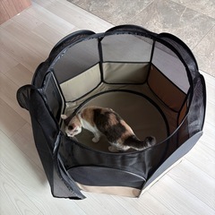 アイリスオーヤマ　折りたたみサークル　おでかけサークル　Sサイズ　猫　犬　ケージの画像