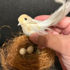 鳥の置物　使い方次第ではガーデンピックにもの画像