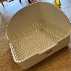 うさぎ トイレの画像