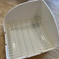 うさぎ トイレの画像
