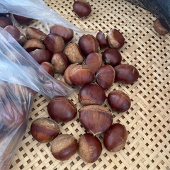 栗　2名限定の画像