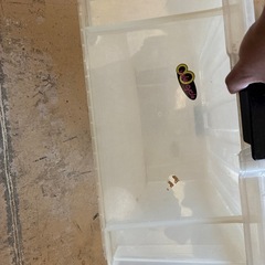 お取引決まりました。の画像