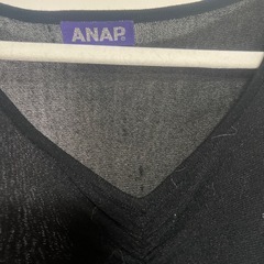 アナップシースルーの画像