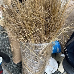 籾殻、藁
の画像